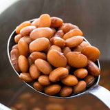 Teasdale Pinto Beans